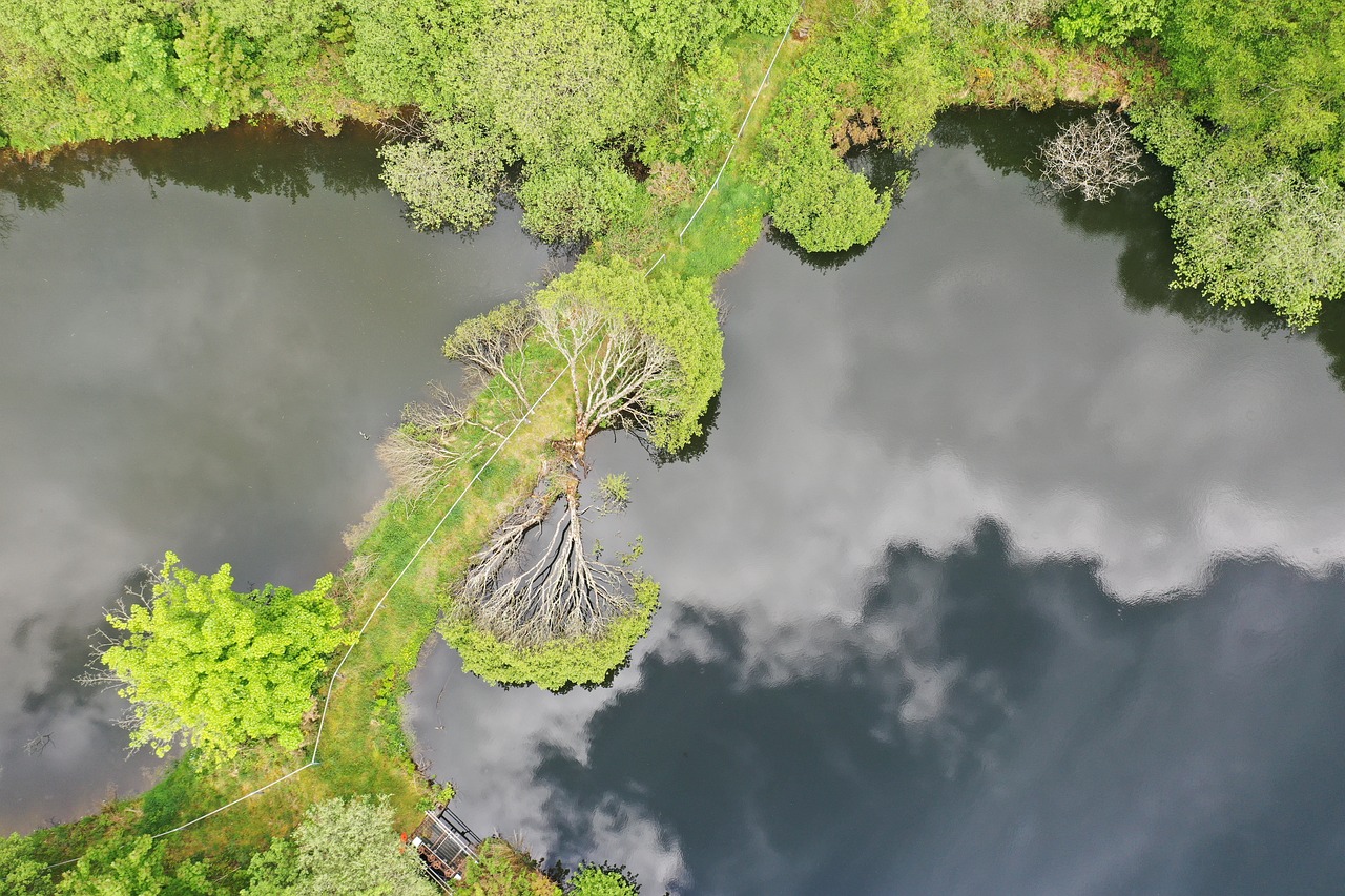 Rzeki układem krążenia planety